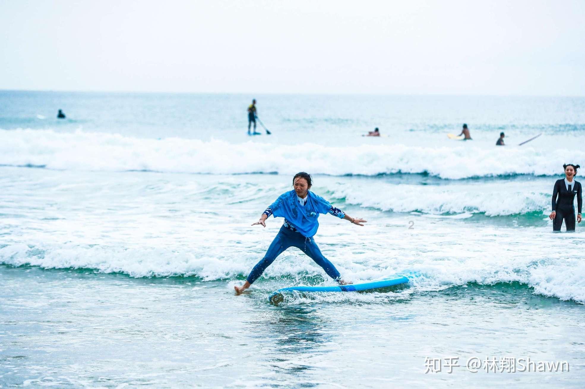 同儿辈赋未开海棠