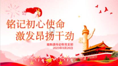森迪公主快乐的一天