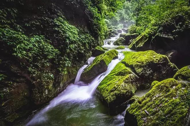 落马女州长痛哭忏悔:愧对父母每年准备的“青菜煮白豆腐”年夜菜