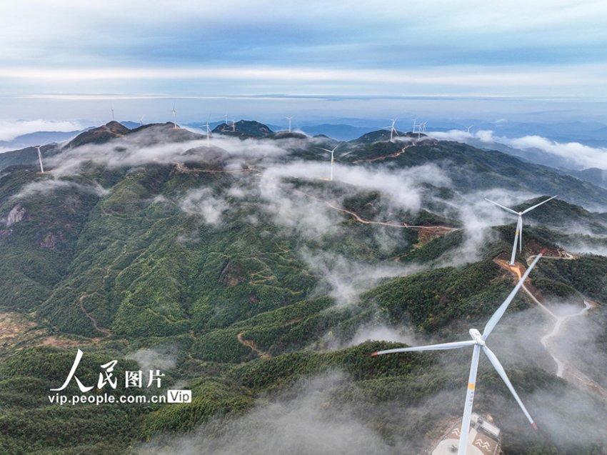 生笨豆芽的做法步骤图，生笨豆芽怎么做好吃游戏画面